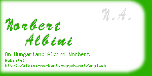 norbert albini business card
